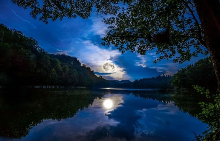 Ночь река лес