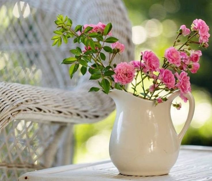 Цветы на окне