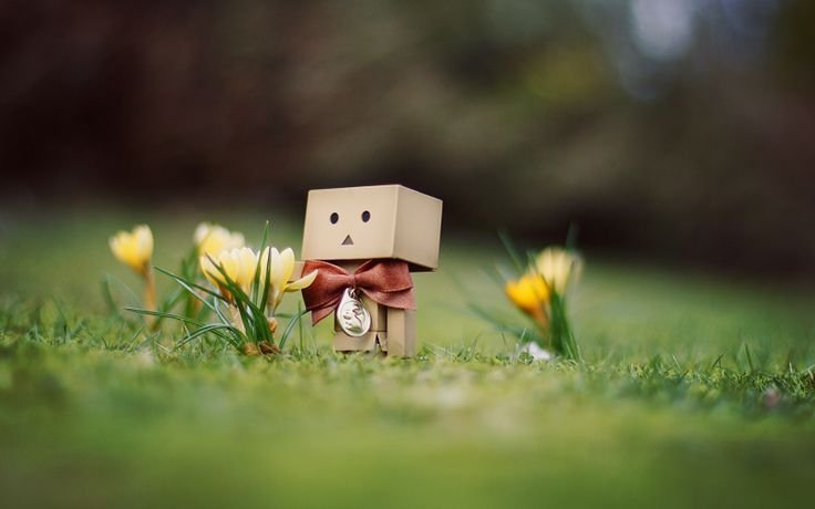 Картонный человечек Danbo