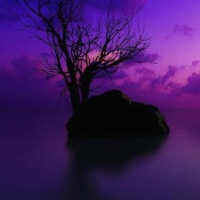 Фиолетовый темный