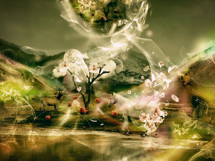 Цветы фэнтези