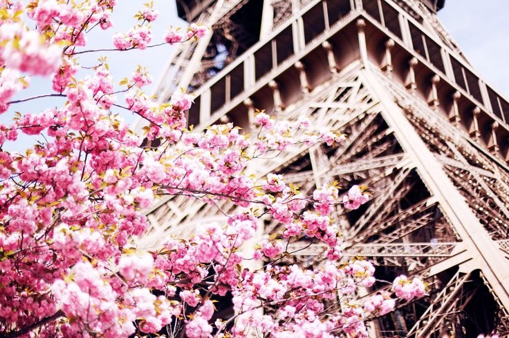 Эйфелева башня Париж Весна