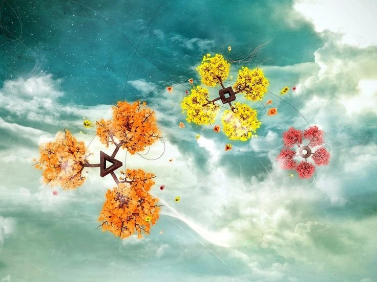 Необычные обои