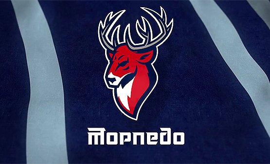 Логотип Торпедо Нижний Новгород хоккей