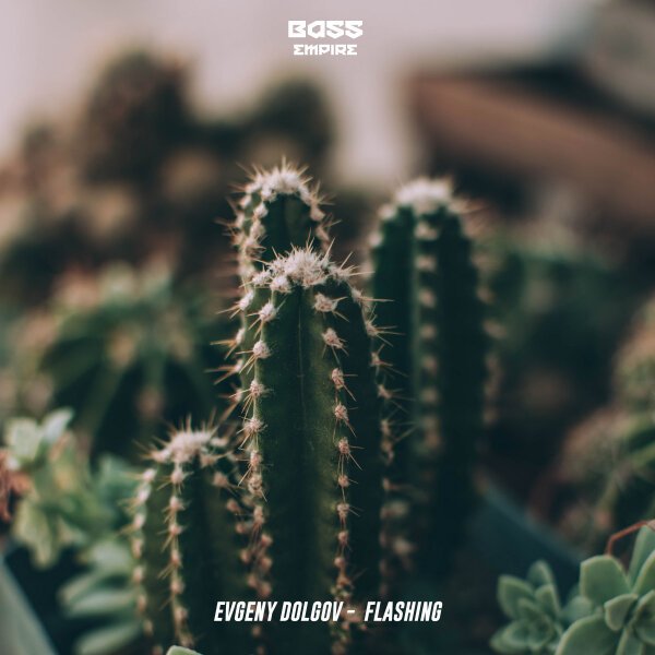 Кактус Пинтерест