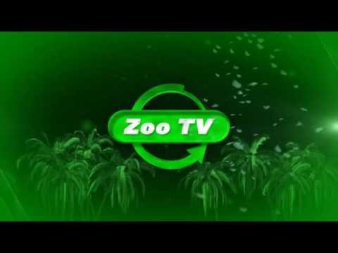 Зоо ТВ заставка