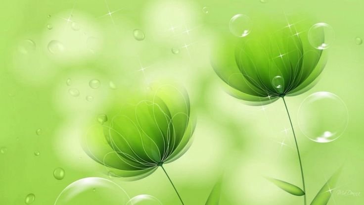 Зеленые обои