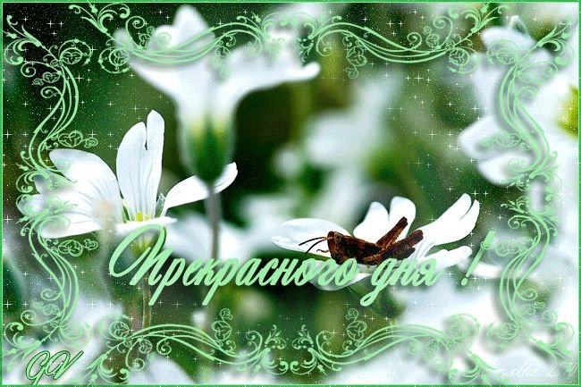 Мерцающие открытки с добрым