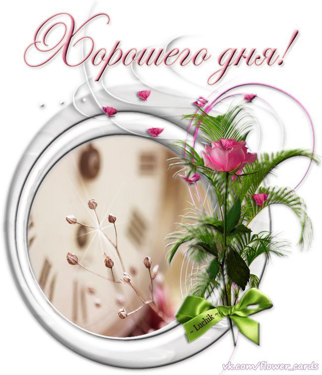 Красивые открытки на каждый день