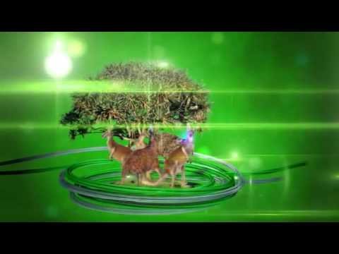 Триколор ТВ зоо ТВ