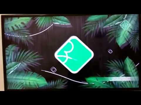 Давай поженим их зоо ТВ