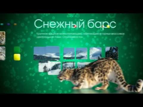 Телеканал зоо ТВ заставка