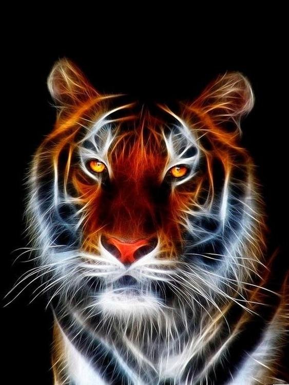 Тигр на аву