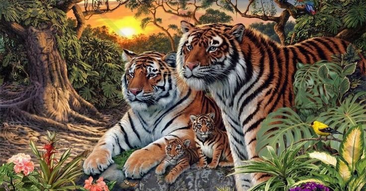 Тигр Касторленд