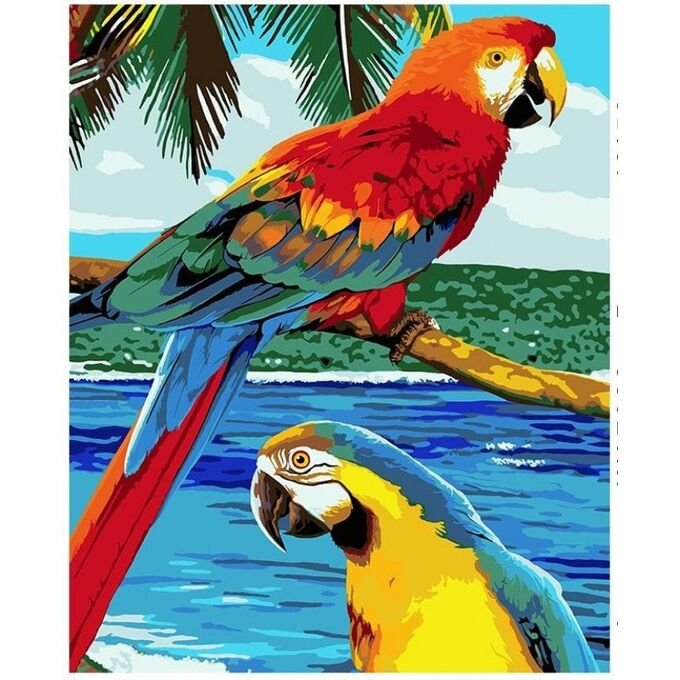 Разноцветный попугай