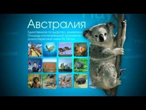 Канал зоо ТВ