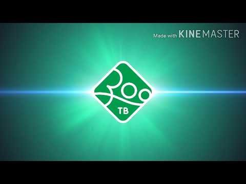 Телеканал зоо ТВ оригинал