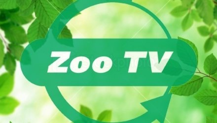 Зоо ТВ