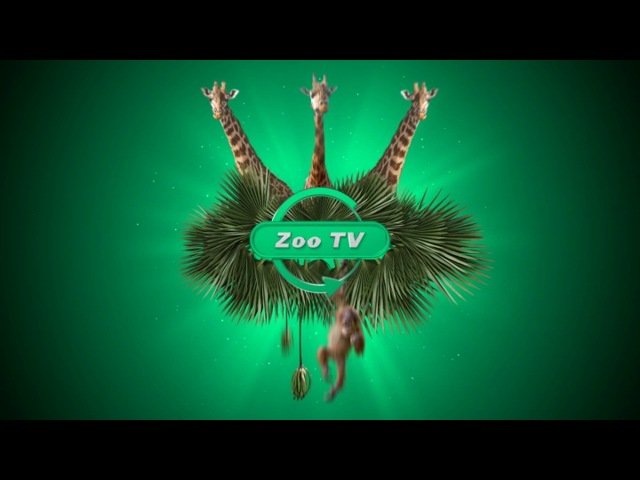 Зоо ТВ