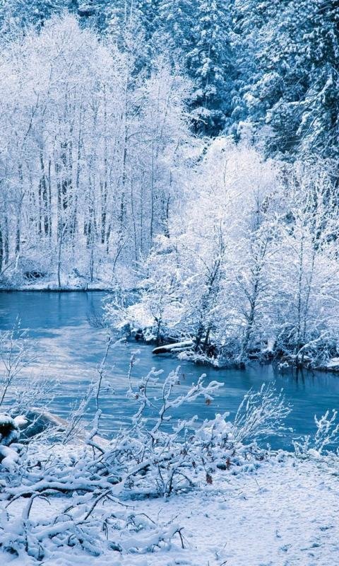 Зимняя природа