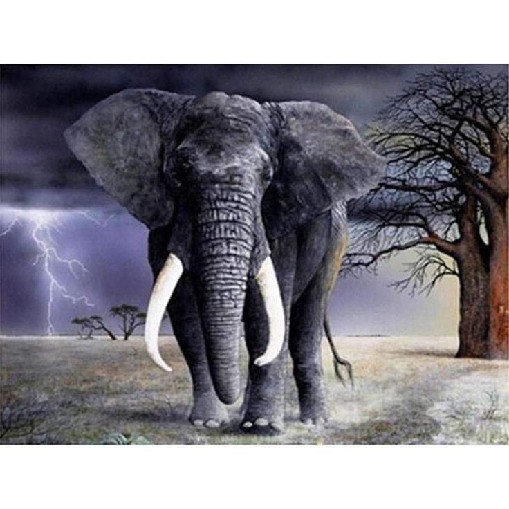 Слон заставка