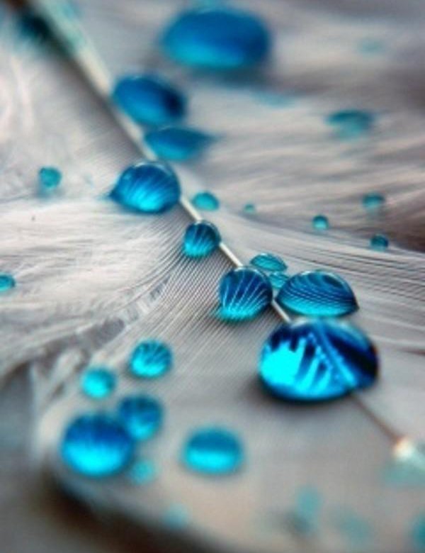 Бирюзовый цвет