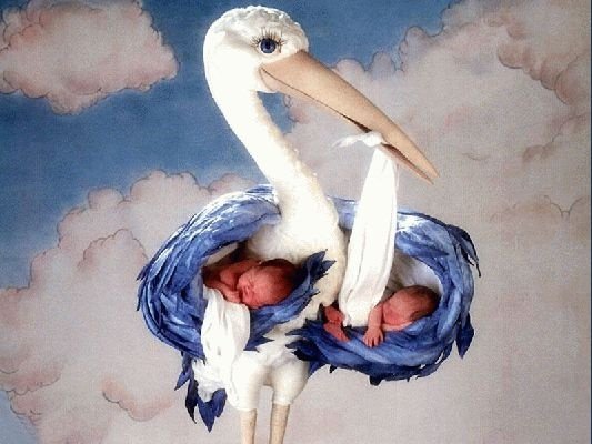 Аист с малышом