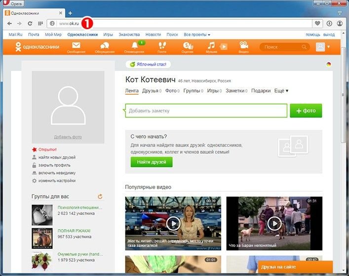 Одноклассникисоиальная сеть