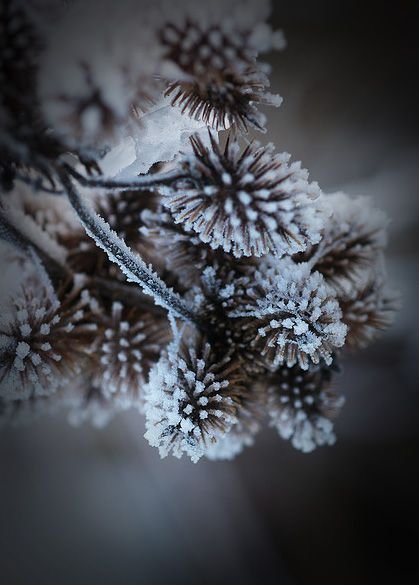 Зимние картинки