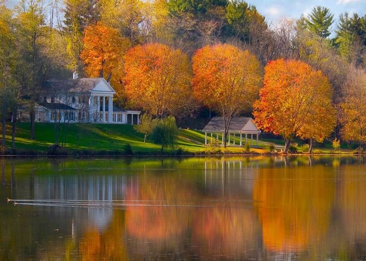 Пушгоры природа