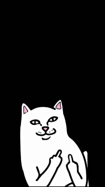 Смешные обои на экран блокировки с надписью