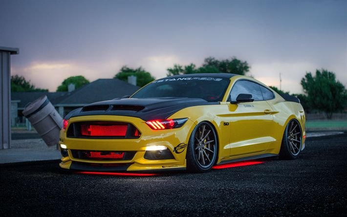 Ford Mustang 2022 Tuning
