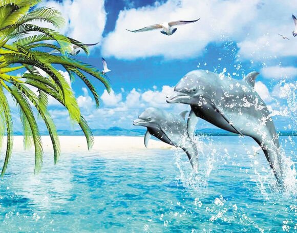 Обои с дельфинами