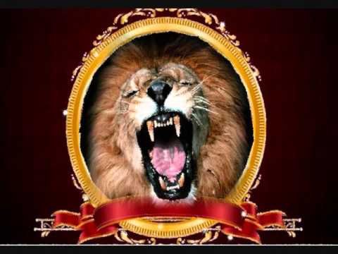 Метро Голден Майер Лев 2008