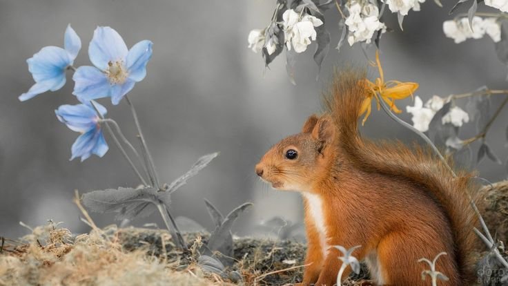 Животные весной