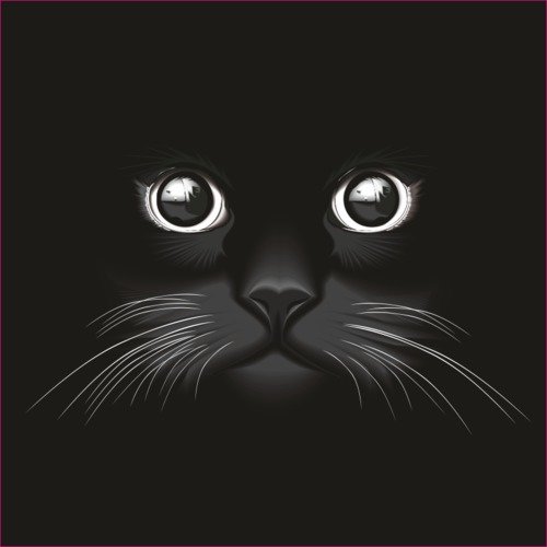 Красивые рисунки на черном фоне