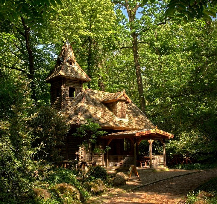 Друскининкай лес избушка