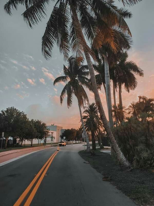 Дорога Майами Лос Анджелес