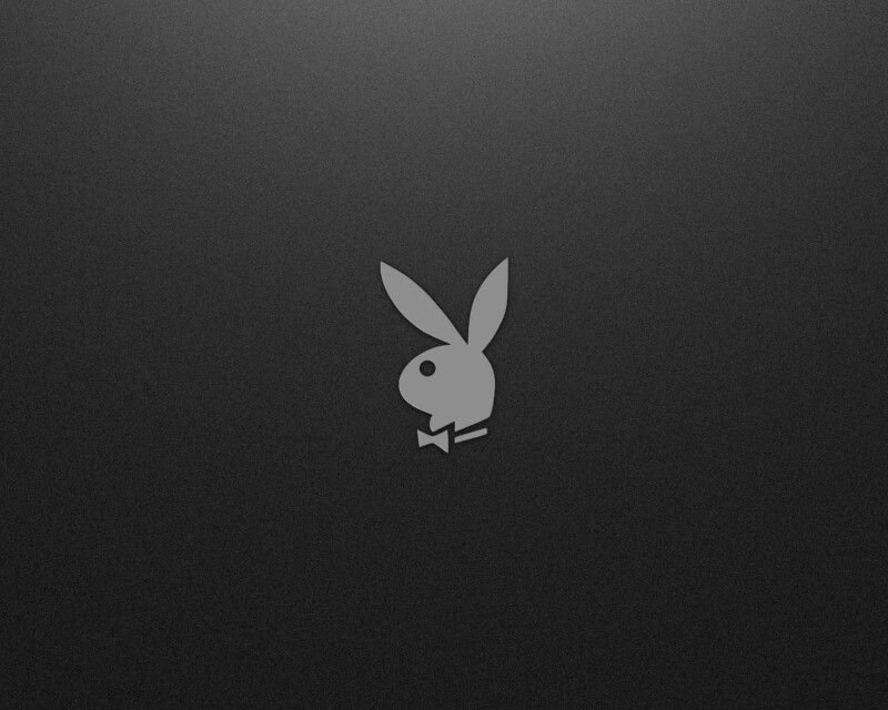 Кролик на черном фоне