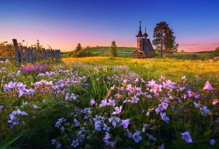 Кенозерский национальный парк