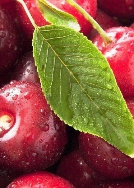 Заставки на телефон фрукты