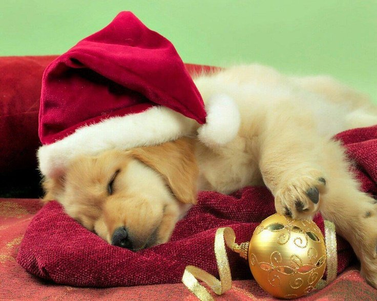 Новогодняя заставка на компьютер