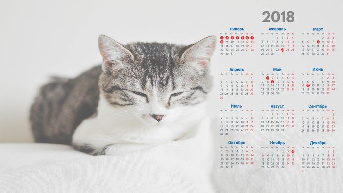 Красивые картинки для календаря