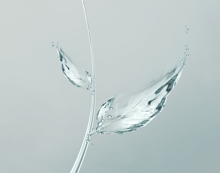 Листья Минимализм