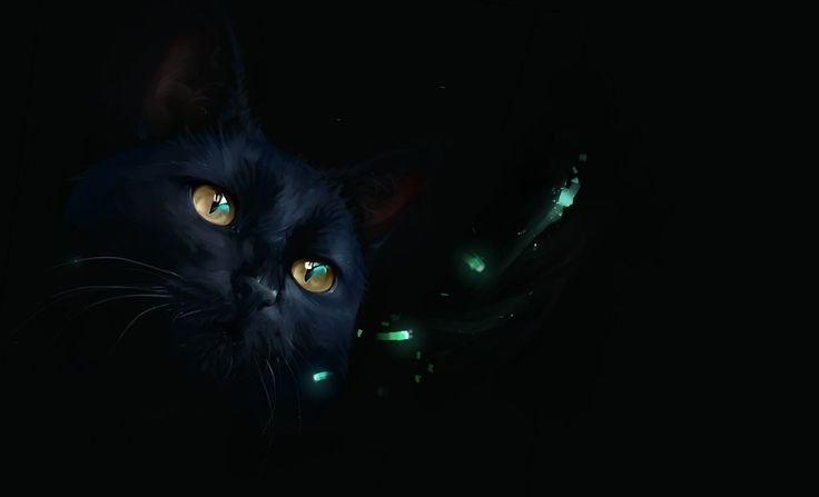 Черные коты