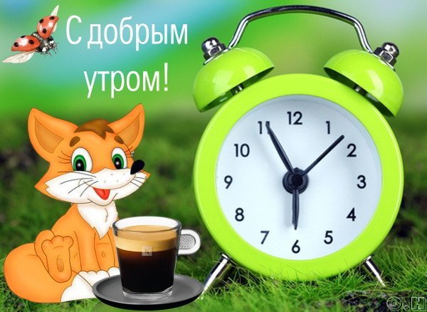 Пожелания с добрым утром днем и вечером