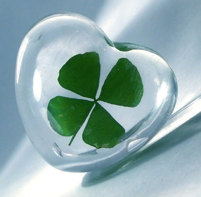 Четырёхлистный Клевер символ успеха
