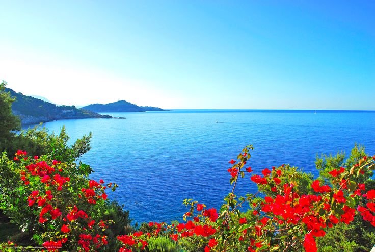 Природа море