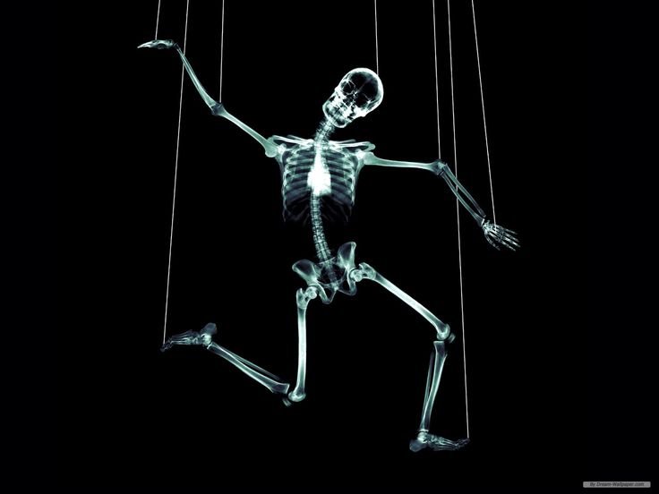 Скелет на темном фоне