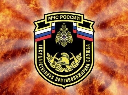 МЧС аватар